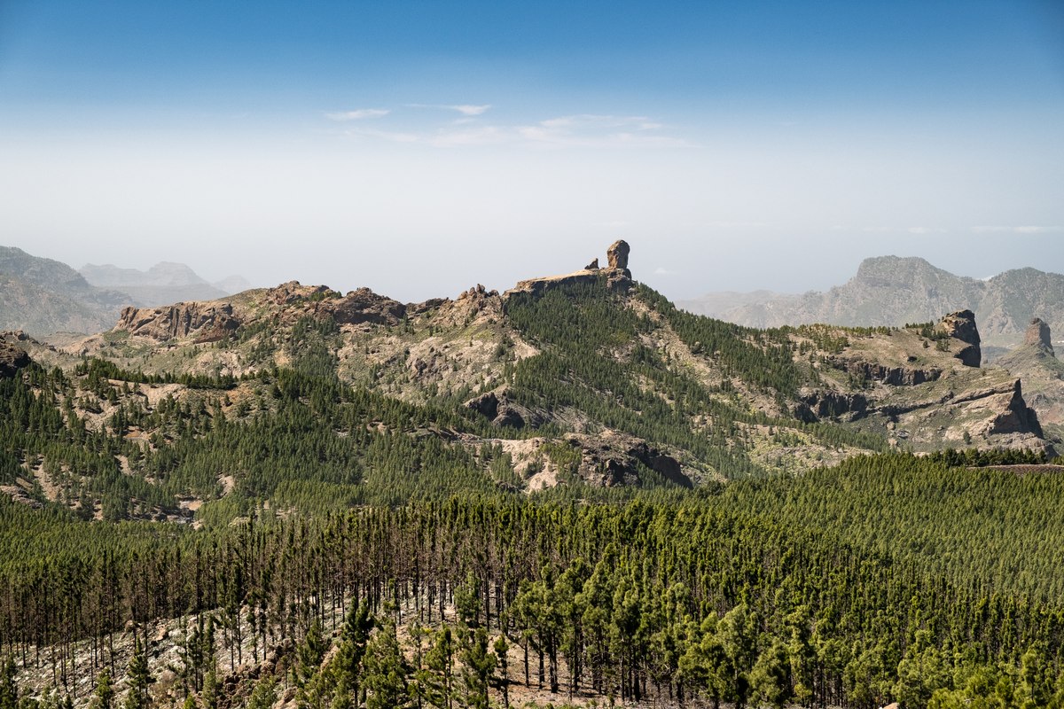 Pico de las Nieves