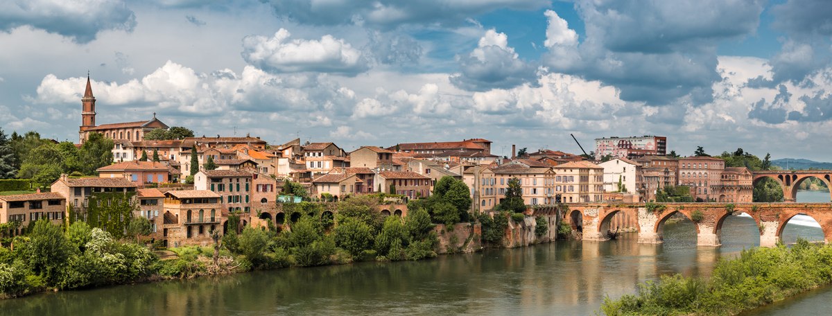 Albi panorama