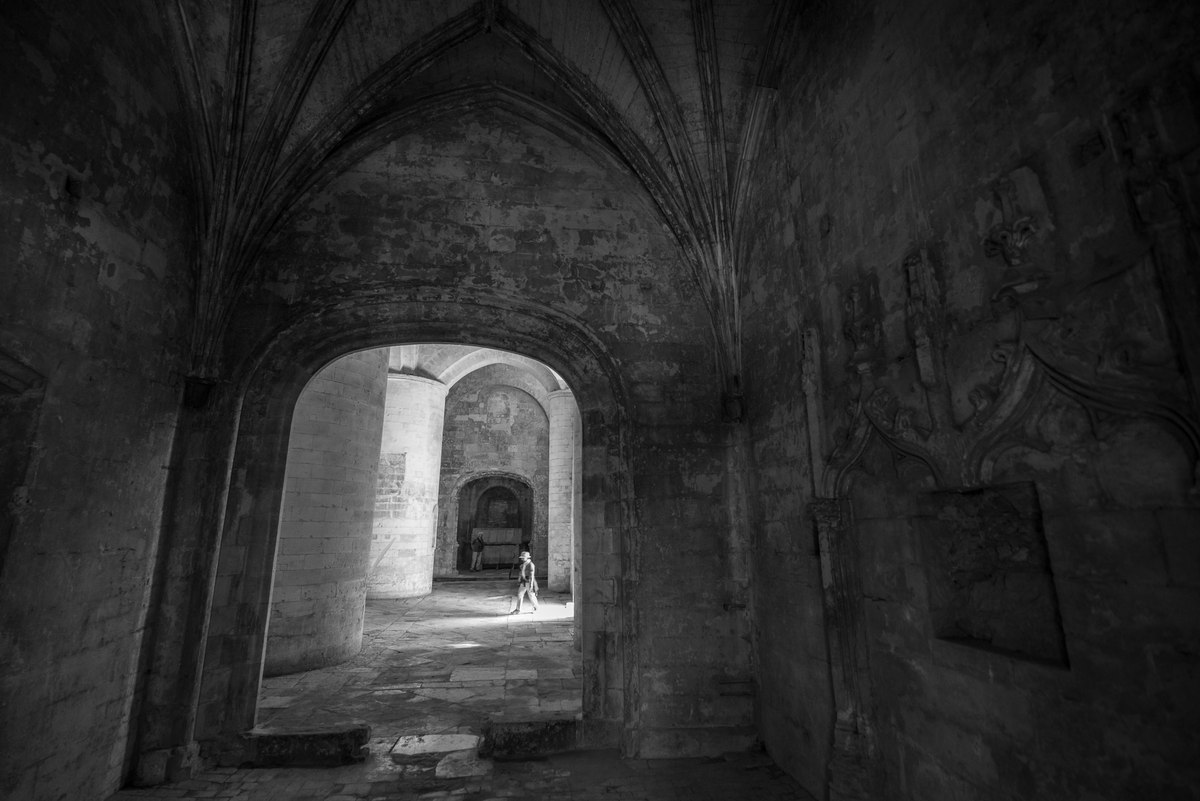 Tomb Raider, Arles