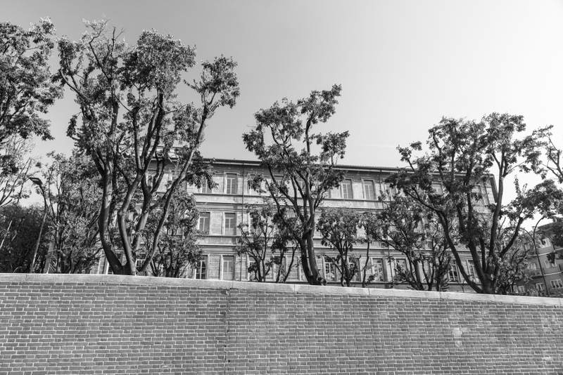 Milan wall, trees and windows