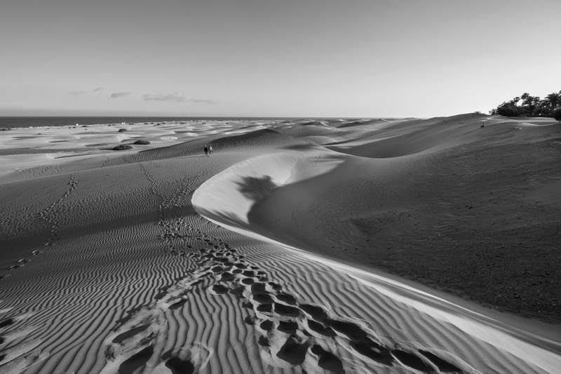 Dunes of Maspalomas